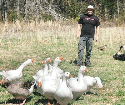Coweta County nonprofit 180-degree Farm co-founder Scott Tyson recently braved the enclosure where the farm’s ducks and their “watch dog” protectors, the geese, spend the day feasting on a diet of grass free of pesticides and herbicides. Photo/Ben Nelms.